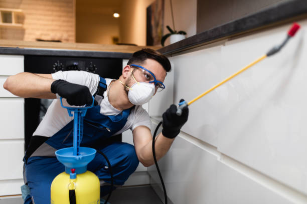 Best Flea Control Services  in Wakeeney, KS