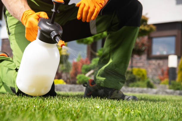 Wasp Removal Services in Wakeeney, KS