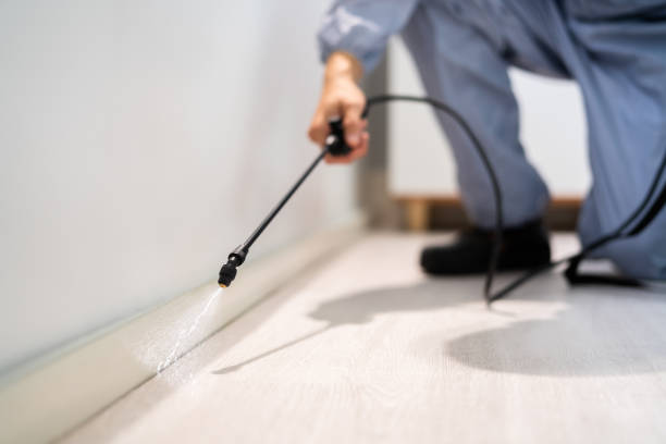 Best Local Pest Control Services  in Wakeeney, KS