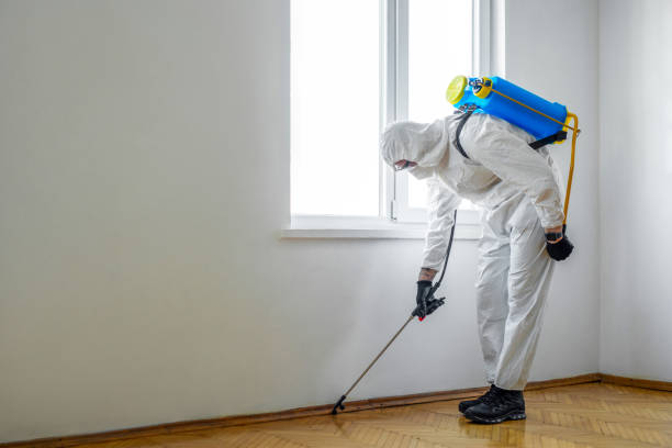 Reliable Wakeeney, KS Pest Control Solutions