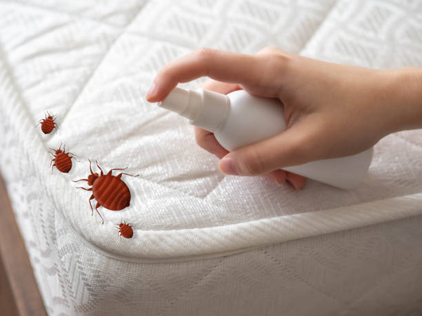 Best Bed Bug Extermination  in Wakeeney, KS
