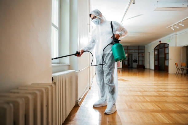 Best Flea Control Services  in Wakeeney, KS