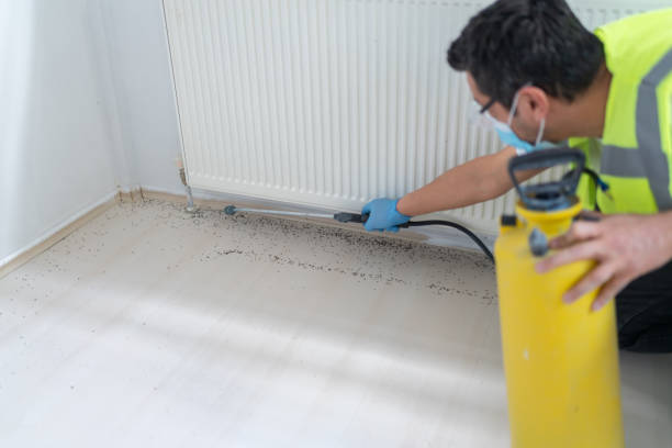Best Emergency Pest Control  in Wakeeney, KS