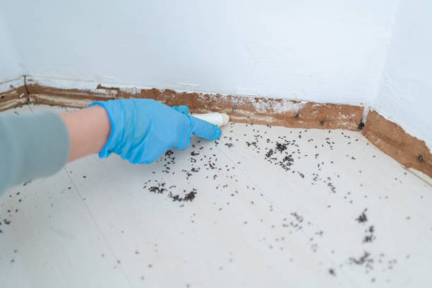 Best Emergency Pest Control  in Wakeeney, KS