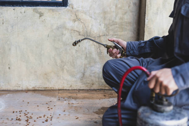 Best Ant Control Services  in Wakeeney, KS